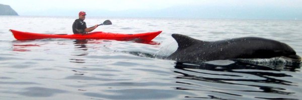 murpmark Profile Banner