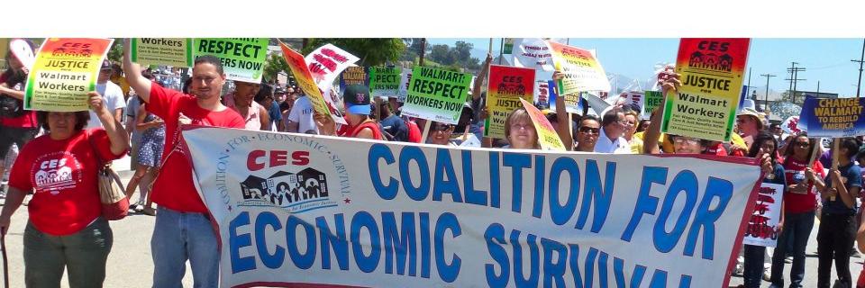 Coal for Eco Surv banner