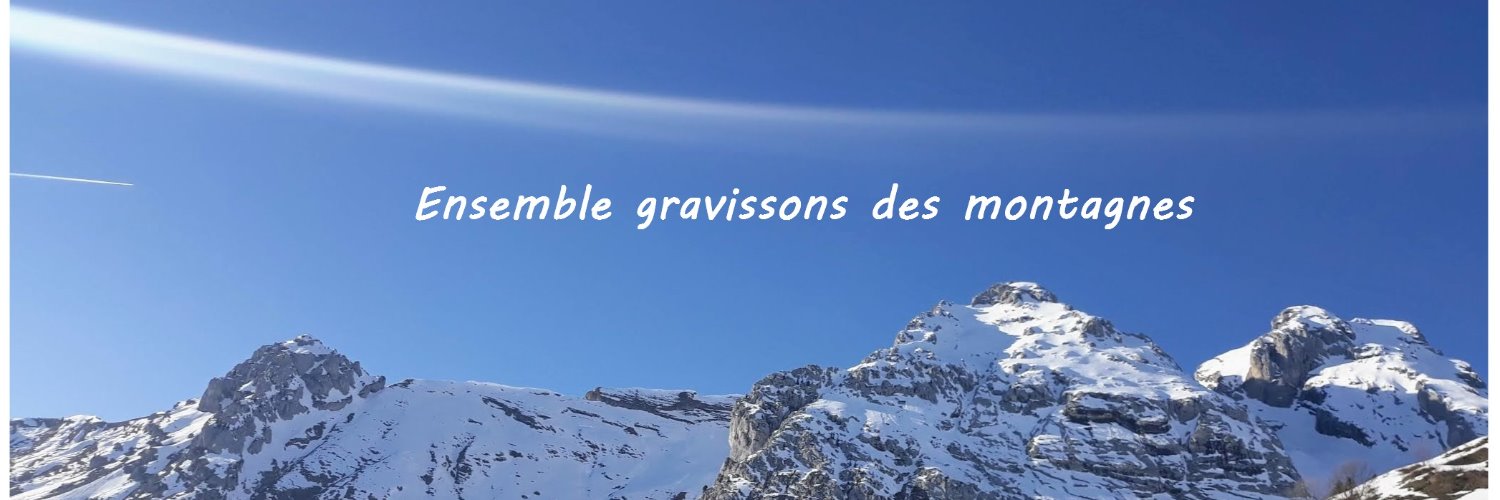 Alexandre MOREL ♿🇫🇷 banner