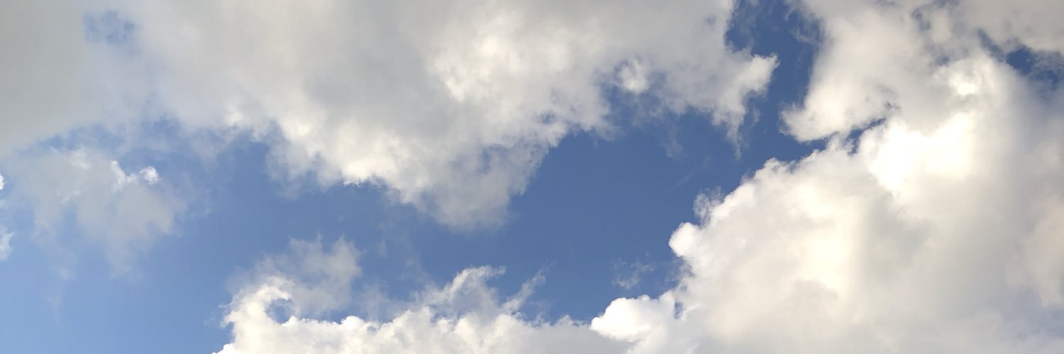 oshiIjamz's profile banner image