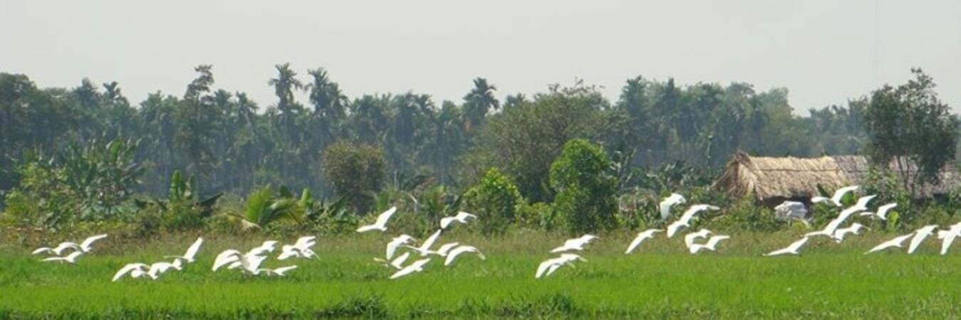 phamkhanh's profile banner image