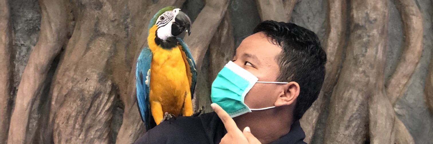 lCloudChaser's profile banner image