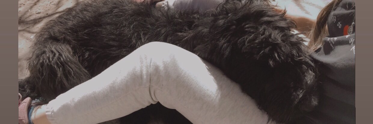 PaulaDlsantos's profile banner image