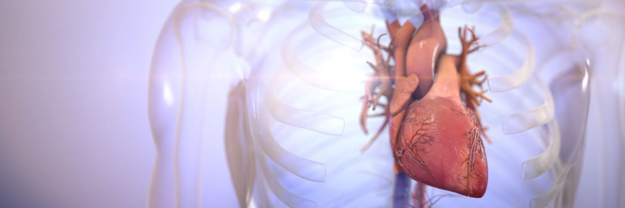 Biolife4D's profile banner image