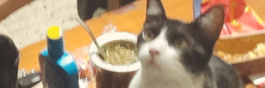 JereConti's profile banner image