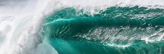 anii_van's profile banner image