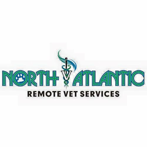 NARVS_NL's profile banner image