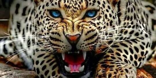 IsaLozano5's profile banner image