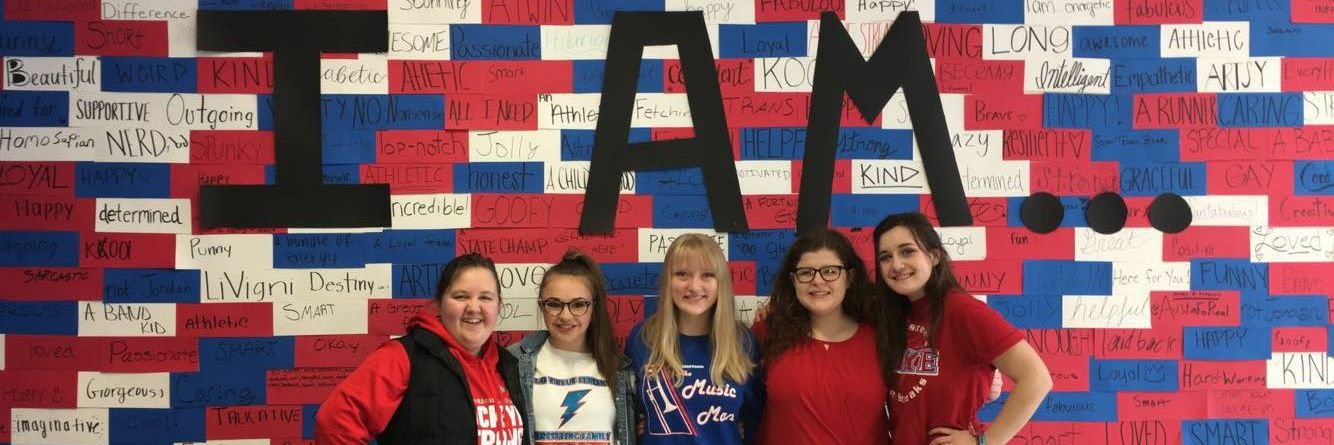 LakeHS_2018's profile banner image
