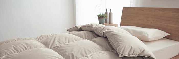 ( ˘ω˘ )ｽﾔｧ.ﾌﾄﾝｽｷｰ banner