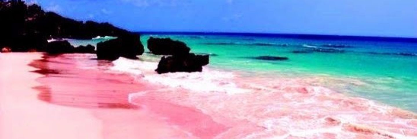 SharenLowe's profile banner image