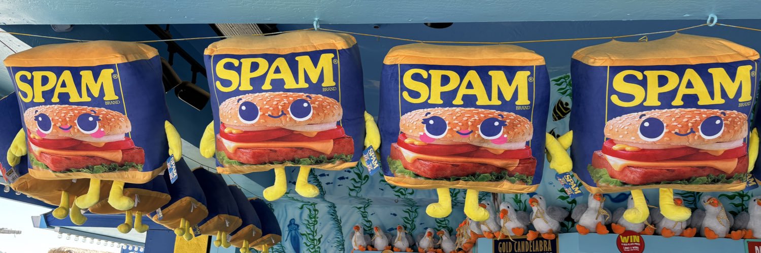 Elvira Basevich banner