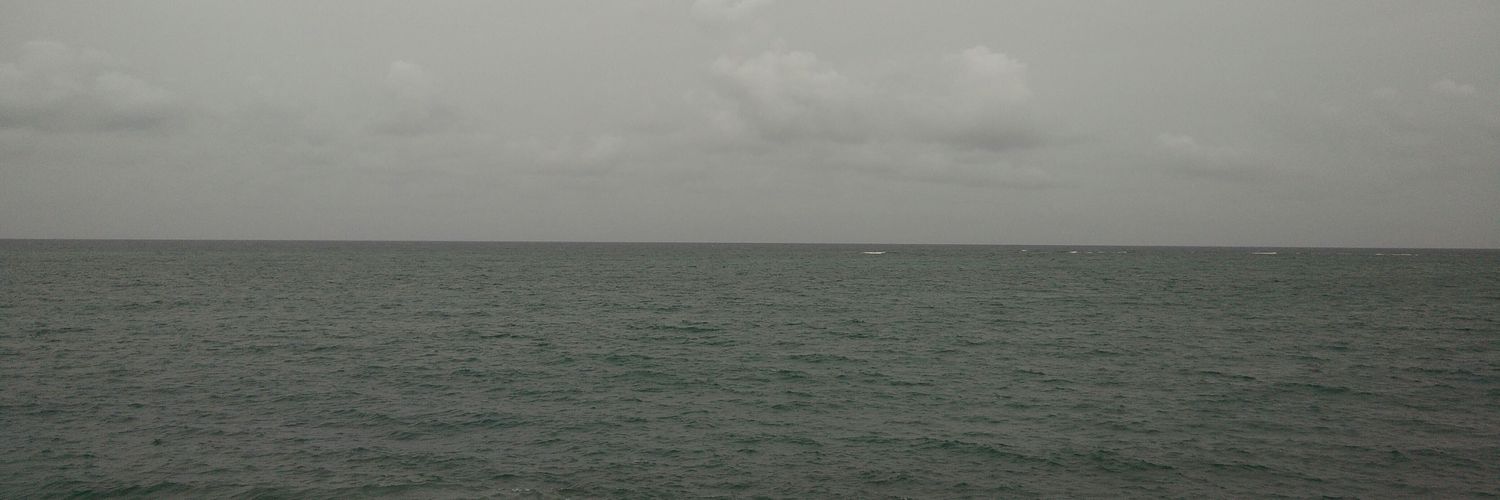 saponsky's profile banner image