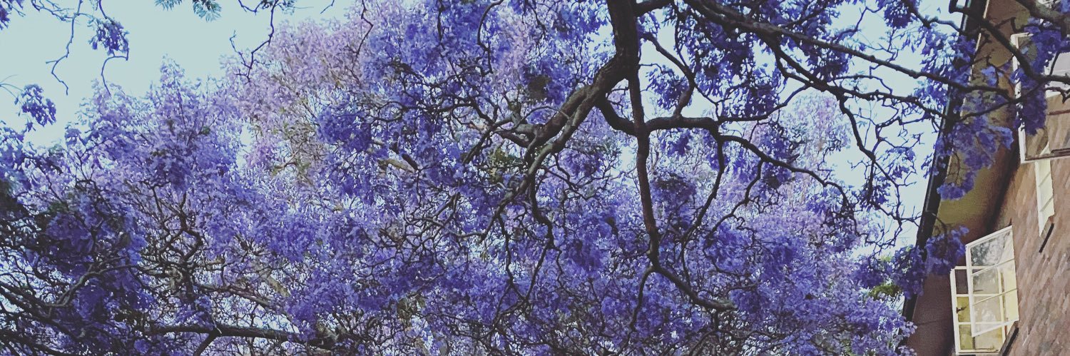 LauraJ10's profile banner image