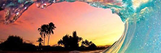 RowenaBalint's profile banner image
