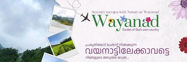 CollectorWyd Profile Banner
