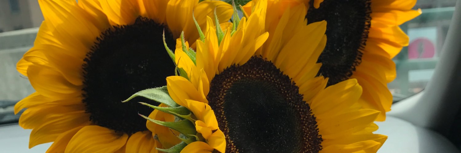 abbydabby123's profile banner image