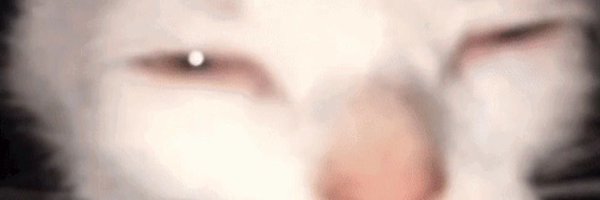 sirajulazrie Profile Banner