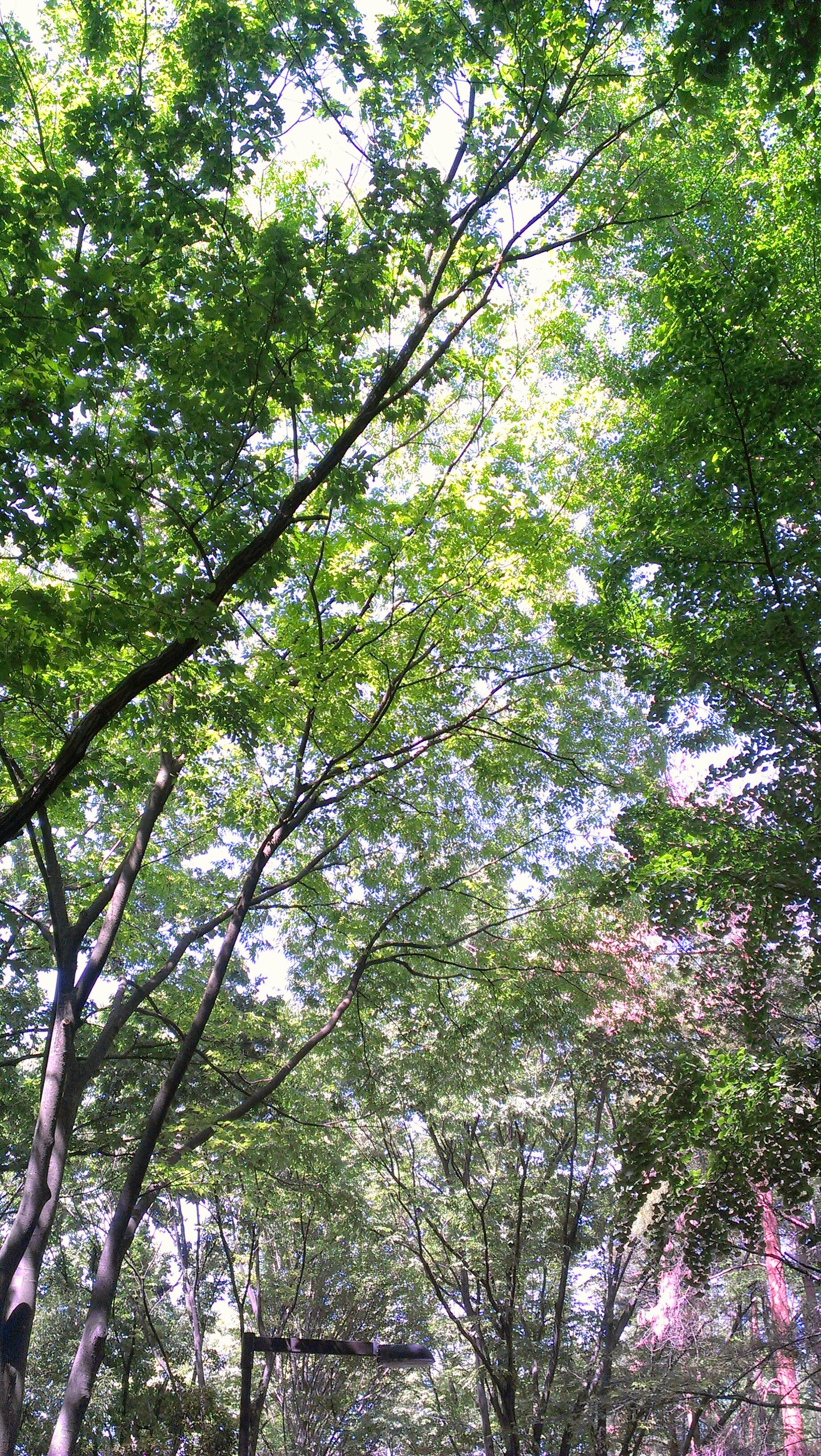 nagayamatown's profile banner image
