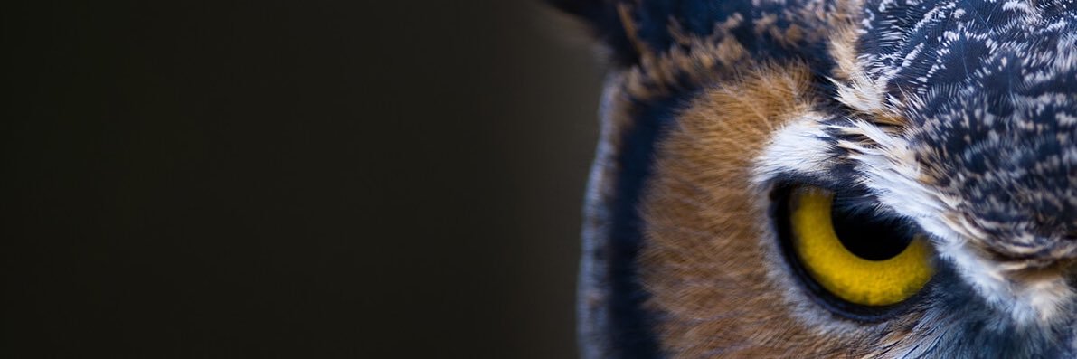 THEdannynono's profile banner image
