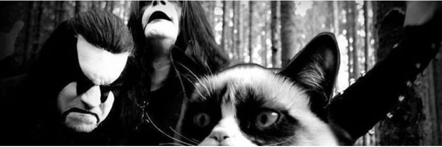 mizzuuz's profile banner image
