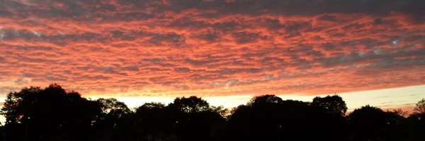 MDiazCuadros Profile Banner