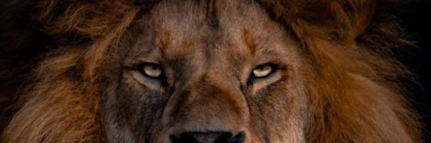 ahsaan444's profile banner image