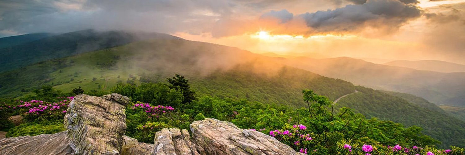 Nicki Jacobsmeyer banner