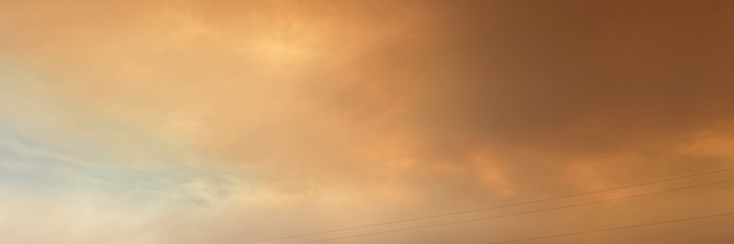 Panda ❀ banner