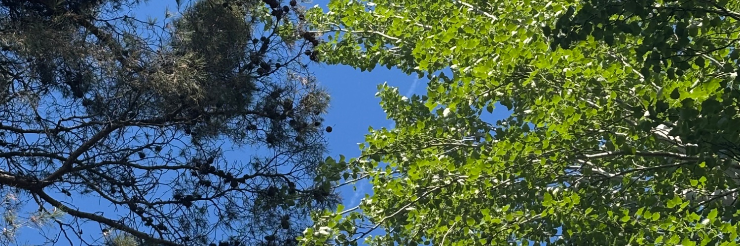 TuPeterman's profile banner image