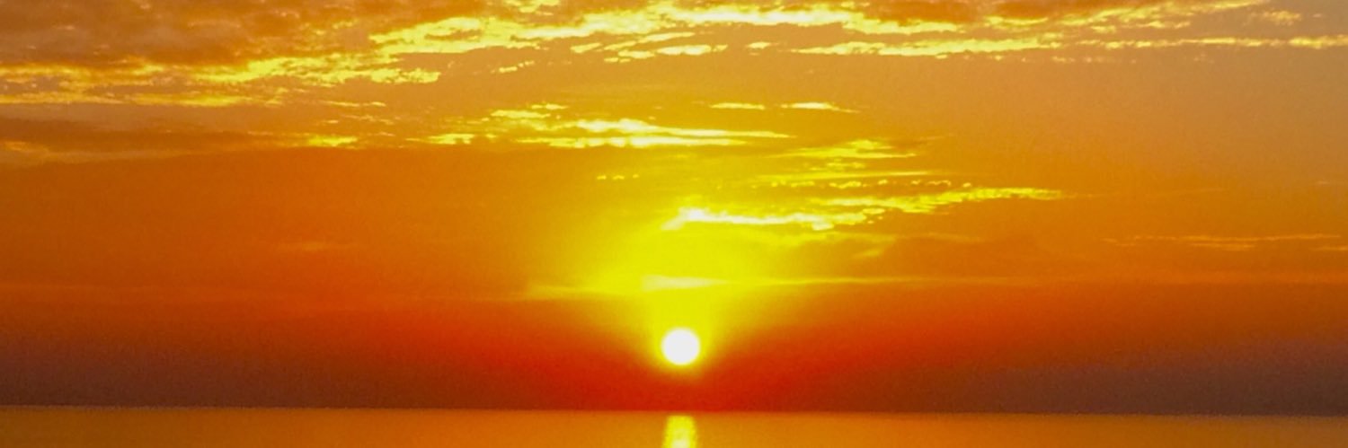 Julie Pearson banner