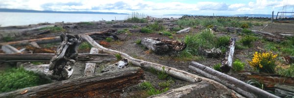 mediaChick Profile Banner