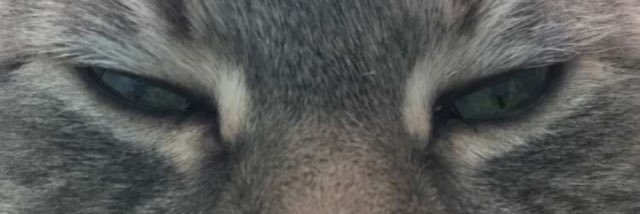 c4rsonlee's profile banner image