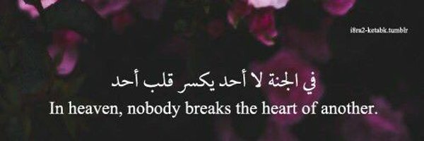 DrSaima16 Profile Banner