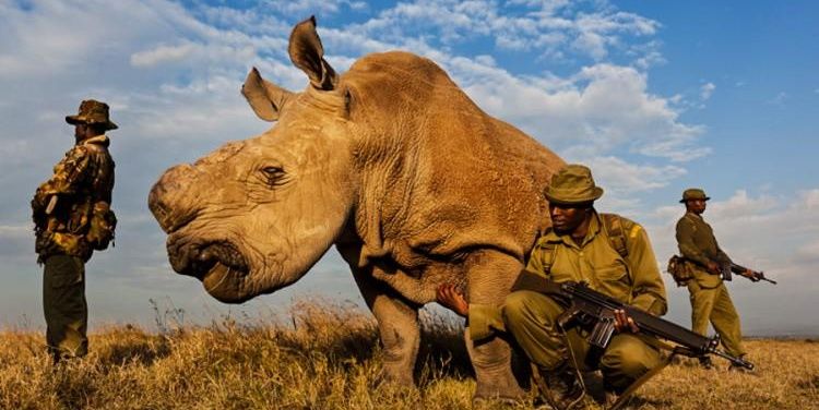 Dahir HRD Tana banner