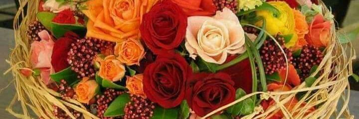 SweetMind11's profile banner image
