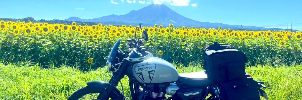 NdellChip's profile banner image