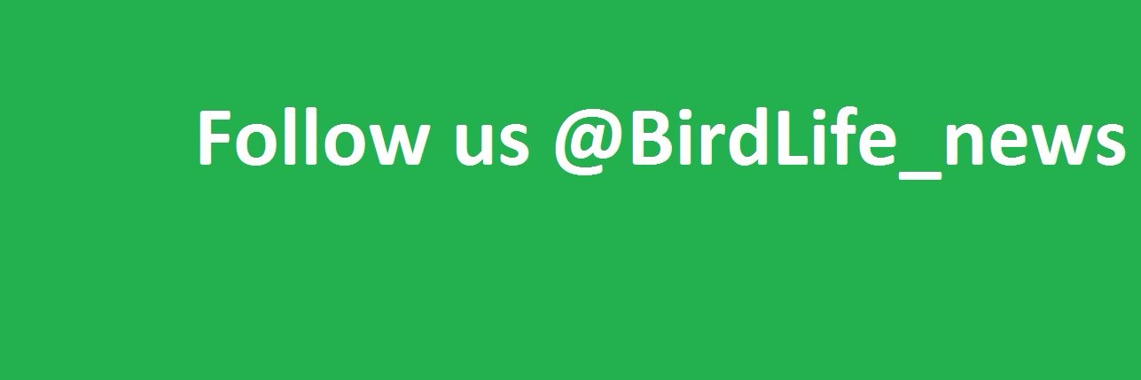 BirdlifeInterna's profile banner image