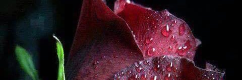 ABahramzi's profile banner image