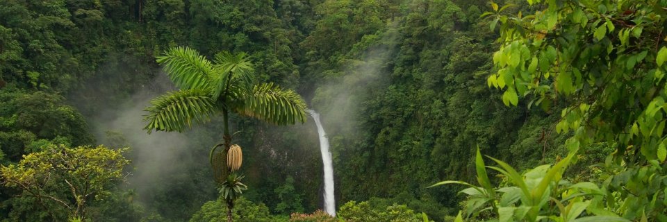 ReservaIsiboro's profile banner image
