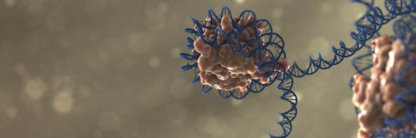 C_D_Todd Profile Banner