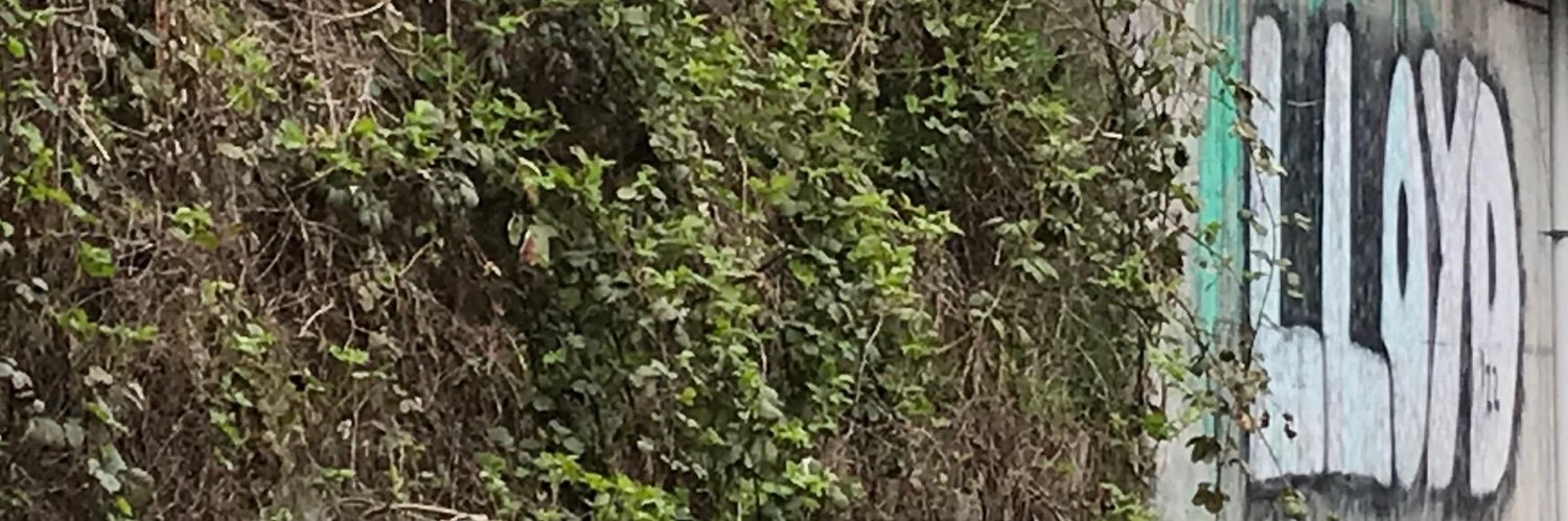Lloyd T. Elliott banner