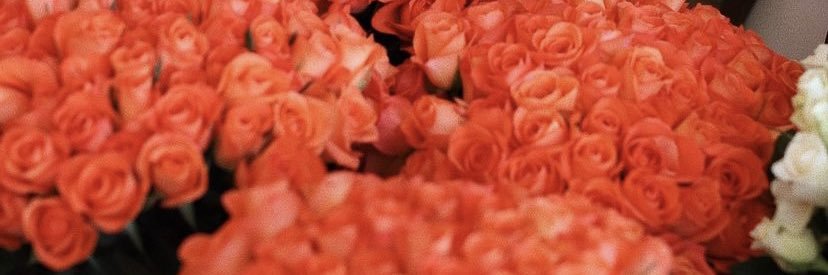 MaSwaziii's profile banner image