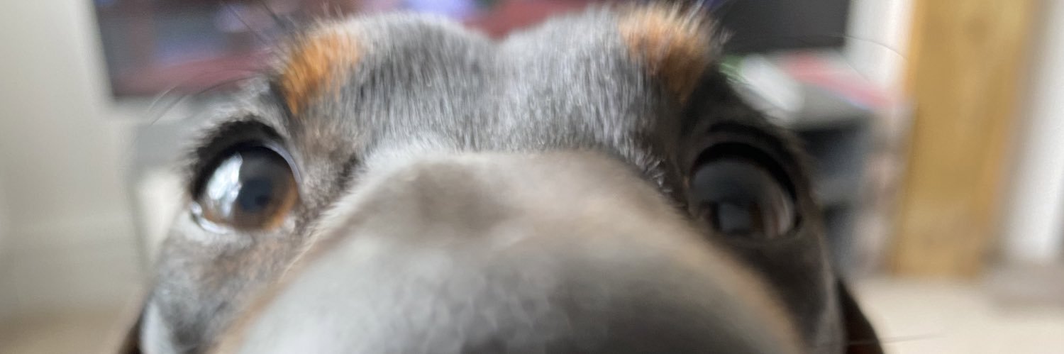 MangnallR's profile banner image