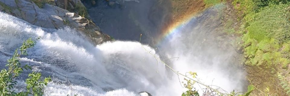 EdiRincones's profile banner image