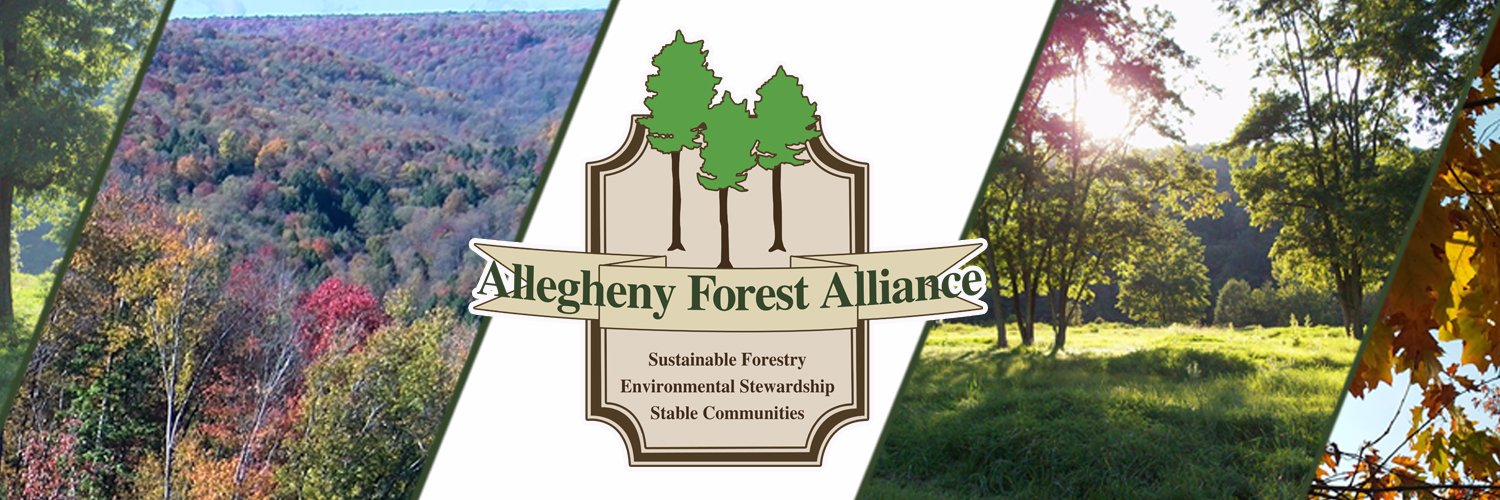 AFAAction banner