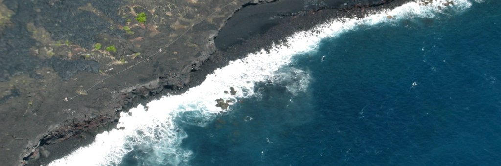 Karen Brandon banner