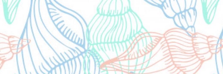 zoommeellaa's profile banner image
