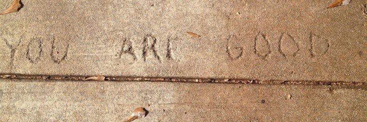 judith montier banner