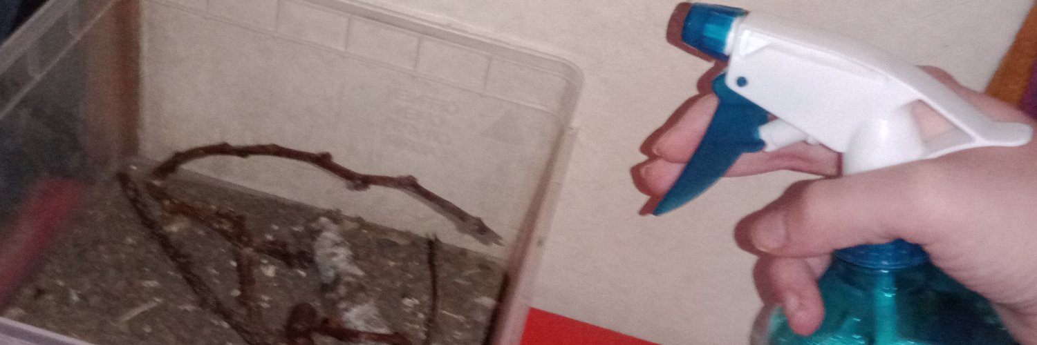 🍅Taikeero🍅 banner